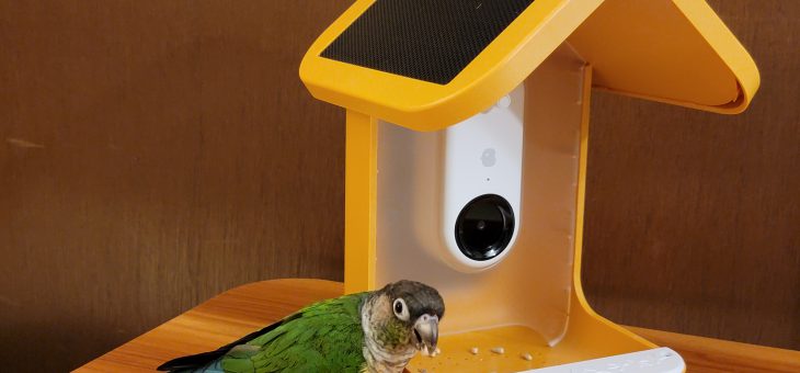 Bird Buddy – smart feeder review