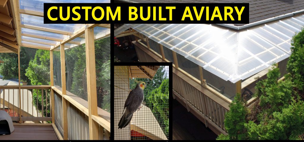 Custom built Aviary